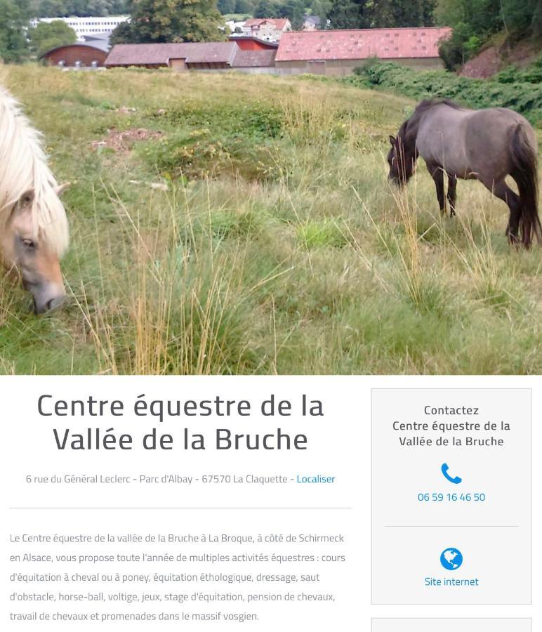 Le Gite Du Chateau Dans Le Centre De Schirmeck Exterior photo