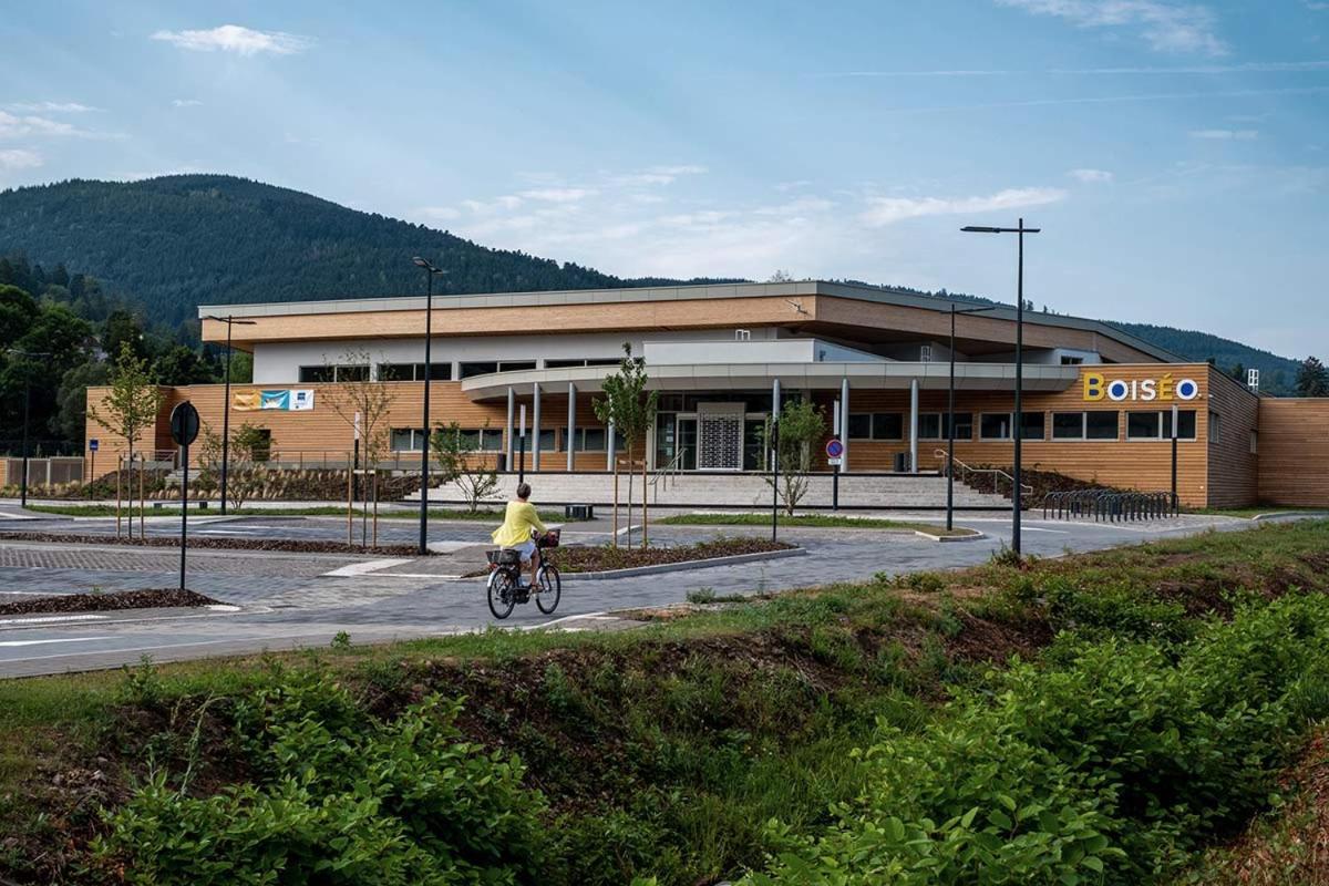 Le Gite Du Chateau Dans Le Centre De Schirmeck Exterior photo